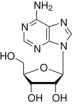 Adenosine