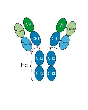 Clesrovimab